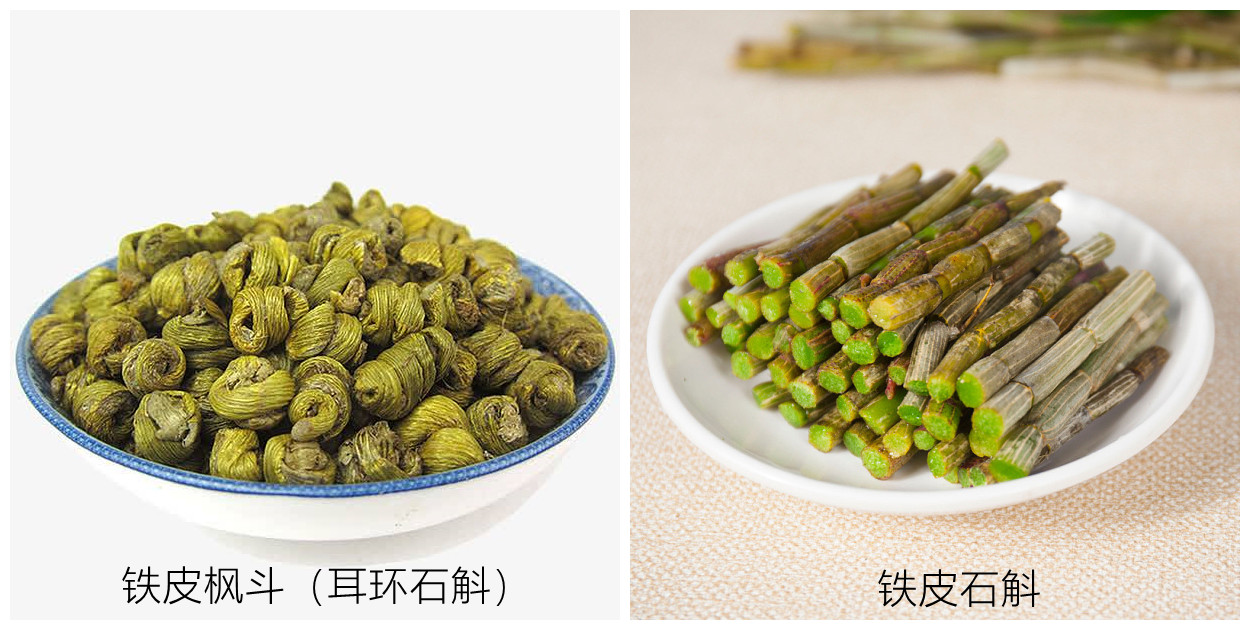 铁皮石斛.jpg