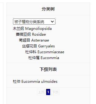 杜仲.png